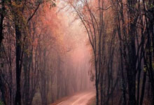 开云APP下载-全运会 | 全天综合：荣光不灭，初心终偿